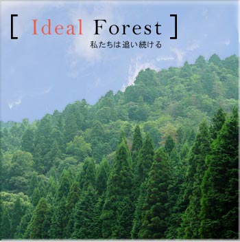 Ideal Forest 私たちは追い続ける 丹波の森の森林管理、森林施業