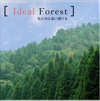 Ideal Forest ͒ǂ Og̐X̐XъǗAXю{